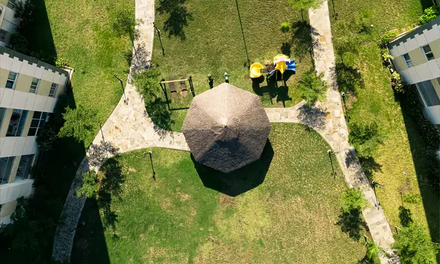 A Landscaped Green Space with Trimmed Lawns, Trees, and Walkways